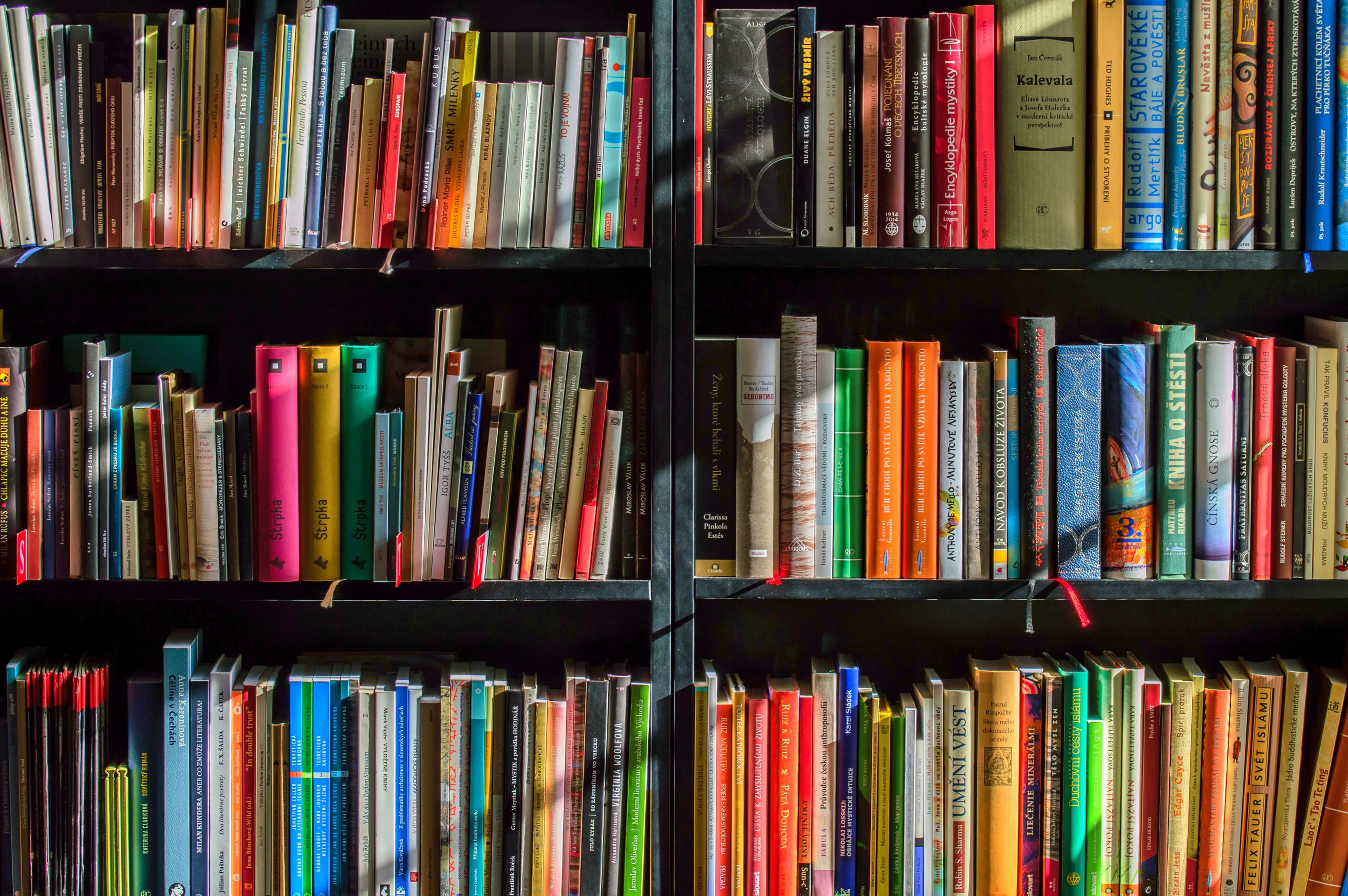 Bücher in einem Regal