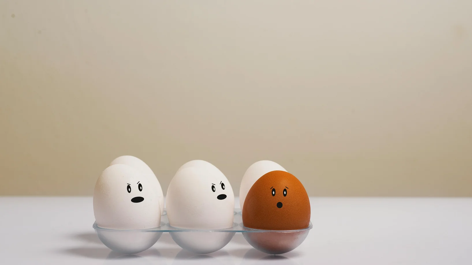Oeufs de couleurs différentes