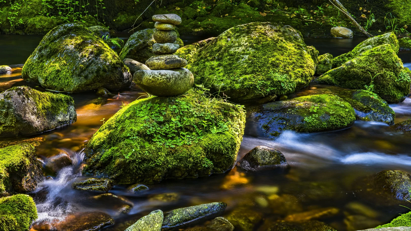 Mossy rocks balanced by a gently flowing creek in a lush green forest setting.